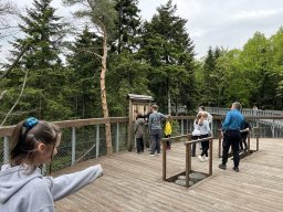 50356393911746171844662285188746657628599492n